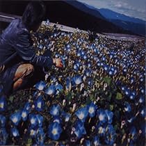 朝顔/レミオロメン 61YPnuFEQ+L._AC_UL210_SR210,